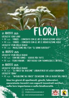 fiori e testo su sfondo colorato di verde