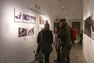 mostra oltre lo scatto bard
