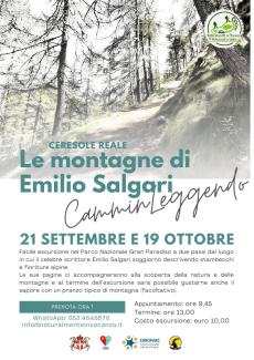 bosco, alberi, testo