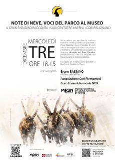 locandina note di neve