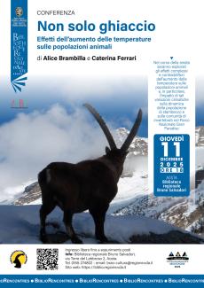 locandina non solo ghiaccio
