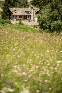 Esterno giardino Paradisia