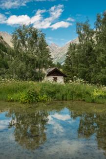 Esterno giardino Paradisia