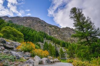 Esterno giardino Paradisia