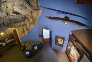 pannelli espositivi del centro visitatori di rhemes notre dame