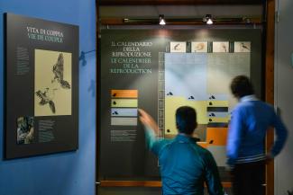 visitatori del centro visitatori di rhemes notre dame