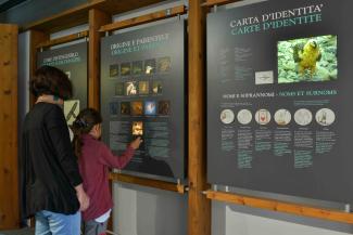 pannelli interattivi del centro visitatori di rhemes notre dame