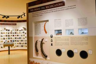 Pannello espositivo sul rapporto tra uomo e stambecco nella storia presso Centro Visitatori Homo et Ibex