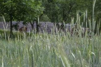Campiglia Soana esterni centro visitatori