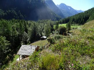 paesaggio esterno del centro visitatori di rovenaud