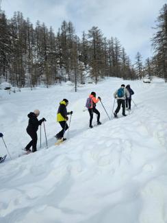 neve ed escursionisti