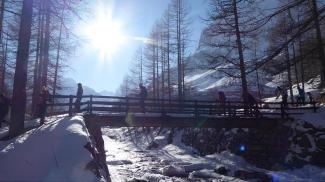 Ciaspolata di Santo Stefano con Guide Trek Alps