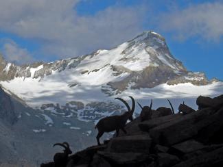 Sui sentieri del Paradiso