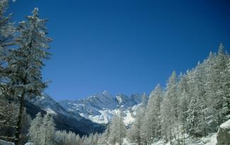Il Paradiso nella neve