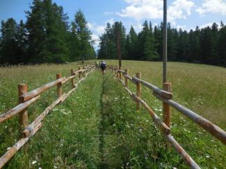 Bagno di foresta nel Parco Gran Paradiso