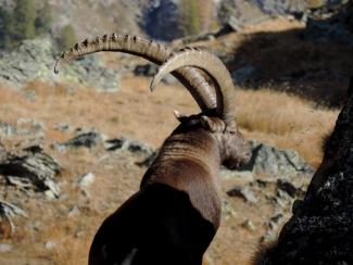 Il respiro dell'inverno