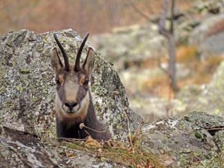 Storie di uomini e di montagne: il vallone del Roc
