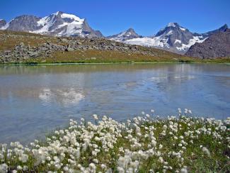 I sentieri del Paradiso