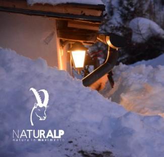 Gennaio in ciaspole con NaturAlp