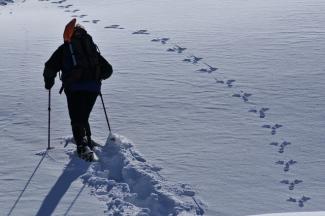 Escursioni con le guide di Habitat - dicembre 2017