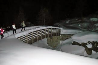 CamminLeggendo: storie da lupi