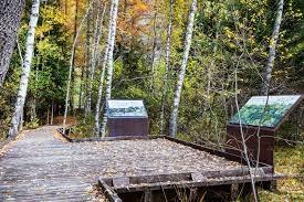 I racconti d'acqua - viaggio tra energia green e biodiversità