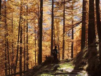 Il respiro dell'autunno