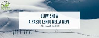 Slow Snow - a passo lento nella neve