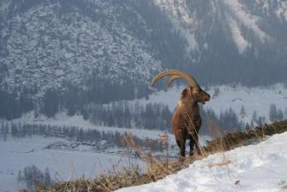 Escursioni invernali con le guide di Habitat