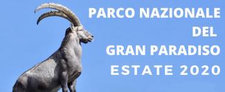 Escursioni con Guide Trek Alps