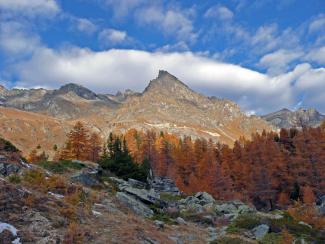 Escursione bioenergetica nel Parco