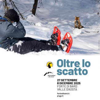 Oltre lo scatto: un viaggio nella natura alpina