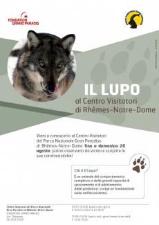 locandina lupo rhemes