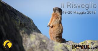 Il Risveglio - workshop di fotografia naturalistica
