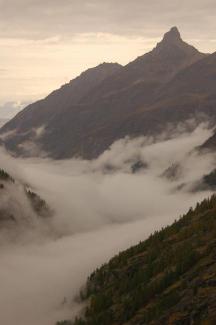 Foto di Enzo Massa Micon