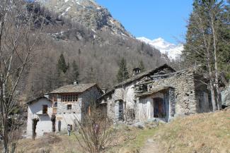 vallone di forzo - silvia amore