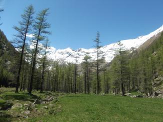 pian azaria valle soana parco gran paradiso