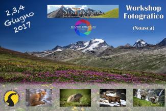 Workshop di fotografia a Noasca