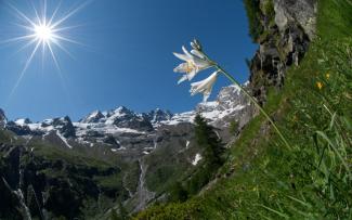 Foto: Claudio Pia - Archivo PNGP