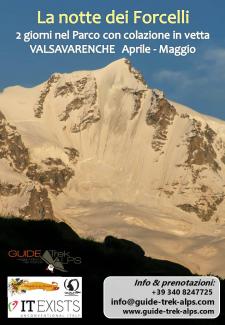 La notte dei galli forcelli