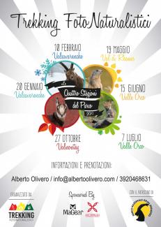 Trekking fotonaturalistici 2019