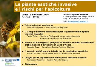 Le piante esotiche invasive e i rischi per l'apicoltura