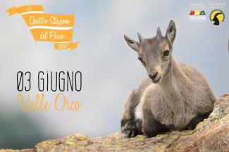 Trekking fotonaturalistici: tarda primavera in Valle Orco