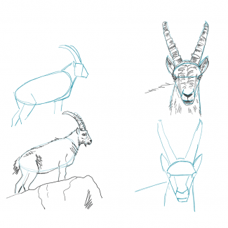 Laboratorio di disegno naturalistico per bambini