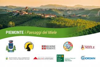 Piemonte: i paesaggi del miele