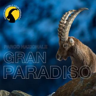 Workshop Pixcube - fotografare la fauna invernale in Valsavarenche