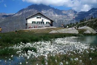 Escursione dal lago di Ceresole al rifugio Jervis 