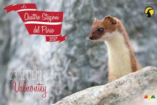 Trekking fotonaturalistici: autunno in Valnontey