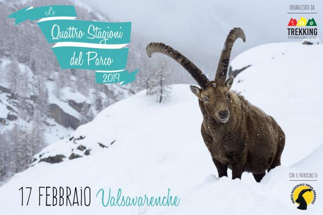 Trekking fotonaturalistici: inverno in Valsavarenche