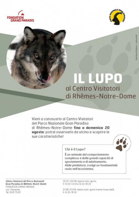 locandina lupo rhemes